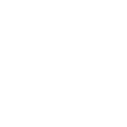 Pylon PMS